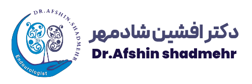 Dr.Afshin Shadmehr